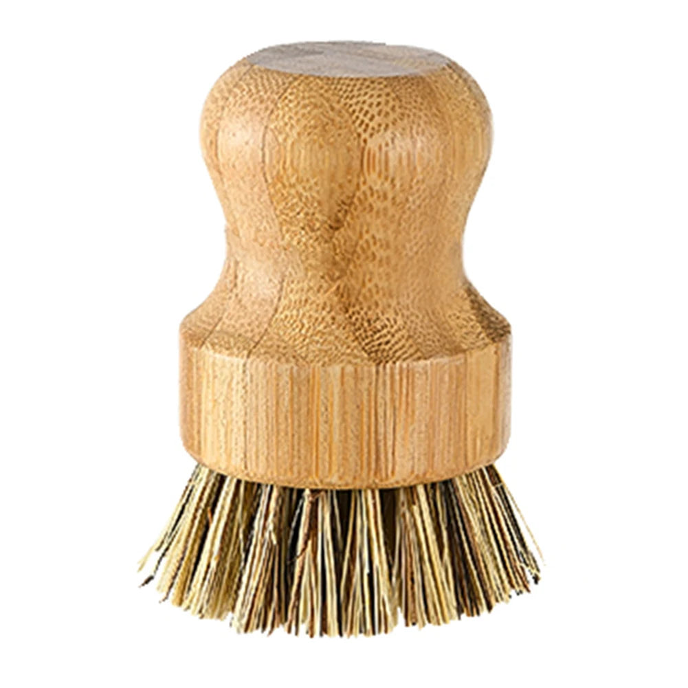 Handle and Sisal Bristles Scrub Brush