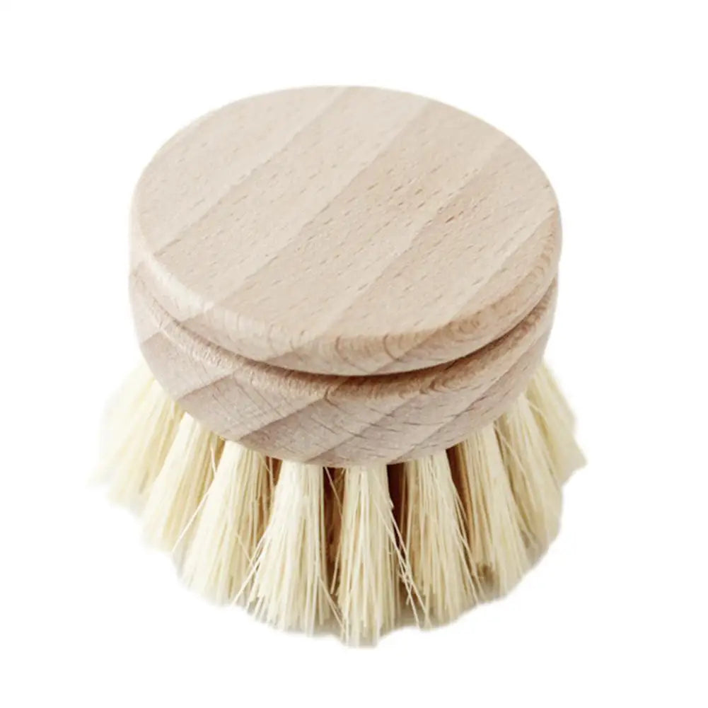 Handle and Sisal Bristles Scrub Brush
