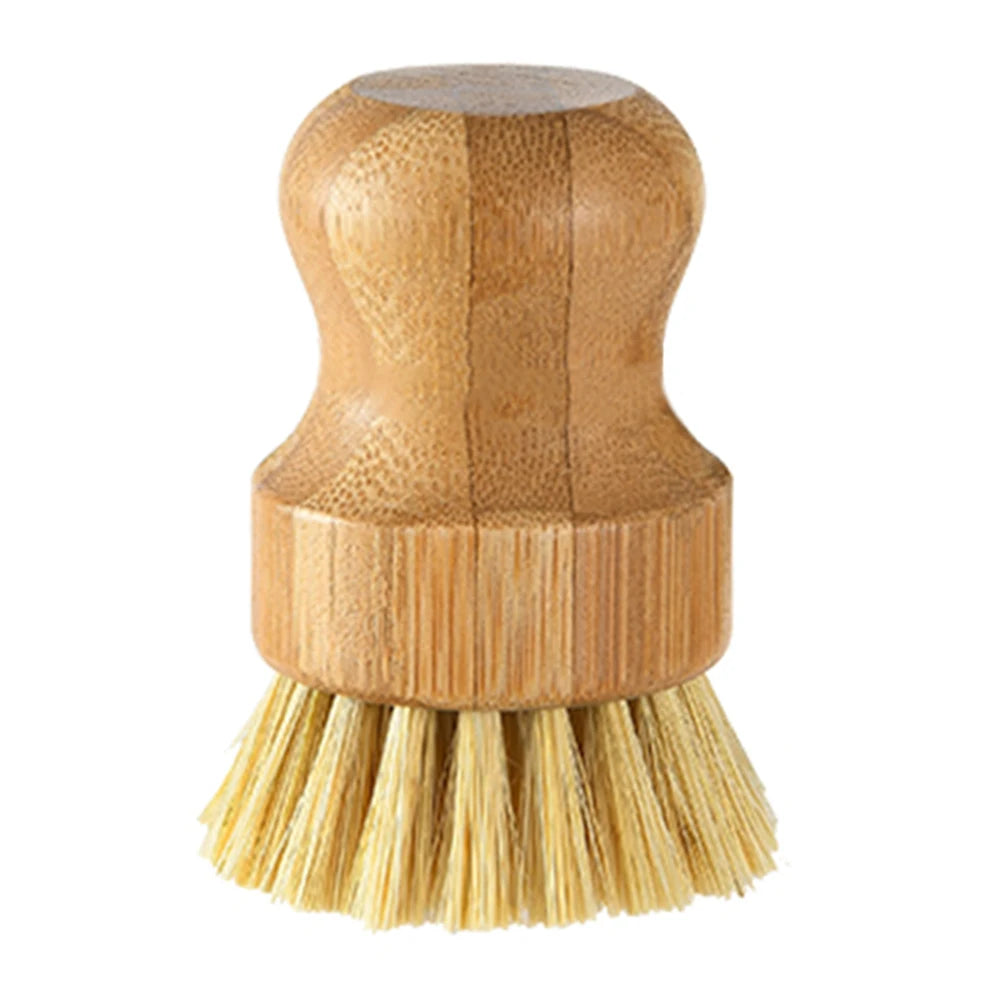 Handle and Sisal Bristles Scrub Brush